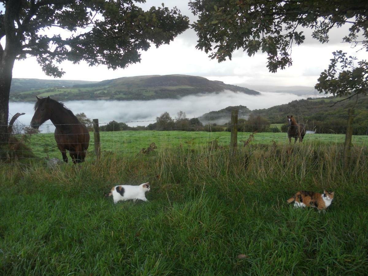 1 Tan Yr Eglwys Barn Cottage Pontardawe Εξωτερικό φωτογραφία