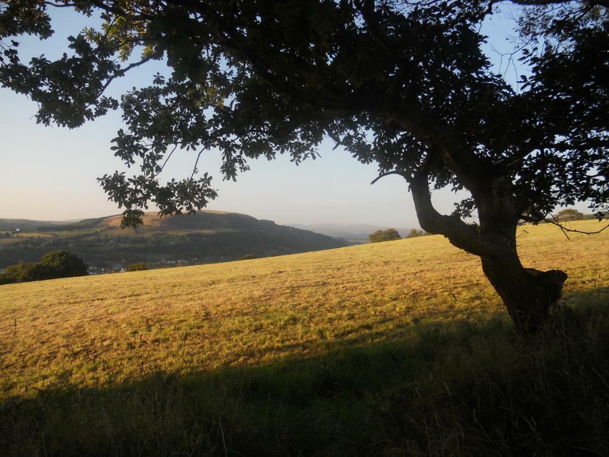 1 Tan Yr Eglwys Barn Cottage Pontardawe Εξωτερικό φωτογραφία